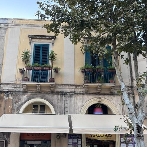 Immagine WhatsApp 2024-10-19 ore 17.23.04_0347643e