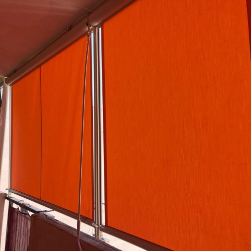 Immagine WhatsApp 2024-10-19 ore 17.23.42_25fc0ff0