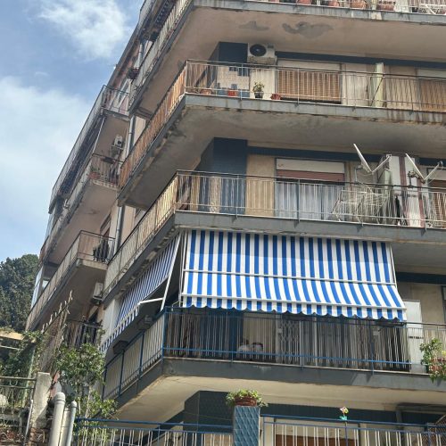 Immagine WhatsApp 2024-10-19 ore 17.23.42_c8adbda8