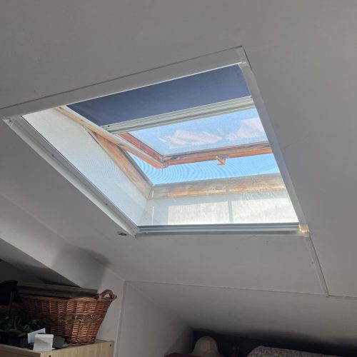 Immagine WhatsApp 2024-10-19 ore 17.26.22_58904cd6