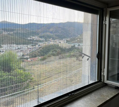 Immagine WhatsApp 2024-10-19 ore 17.35.18_7dc5029b